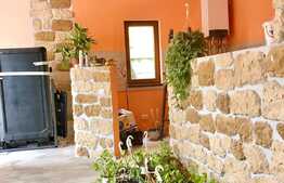 Casa la prima inchiriere pretabila pentru o firma