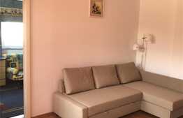 Apartament 2 camere, 50 mp, zona BIG, Manastur