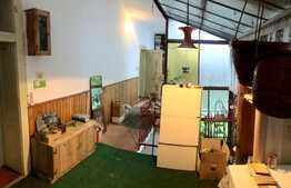 Casa spatioasa cu potential de turism, Centrul Istoric