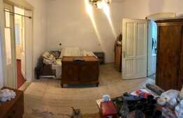 Casa spatioasa cu potential de turism, Centrul Istoric