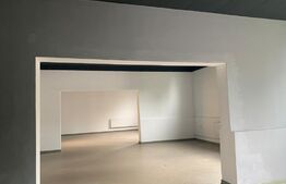 Spatiu de inchiriat, 240 mp, 6 parcari, zona strazii Eugen Ionesco