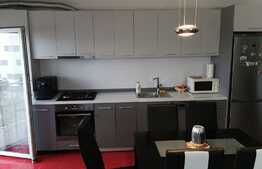 Apartament 2 camere, etaj intermediar, 47 mp, finisat, mobilat