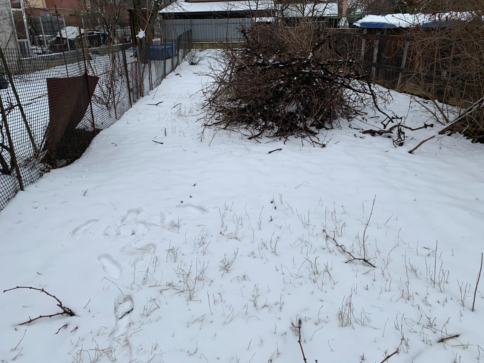 Casa de vânzare 2 camere Marasti - 61202CV | BLITZ Cluj-Napoca | Poza3