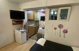 Garsoniera, 24 mp,ideala pentru investitie, zona Porii, Floresti