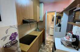 Garsoniera, 24 mp,ideala pentru investitie, zona Porii, Floresti
