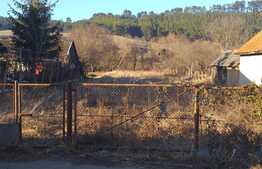 Teren intravilan Savadisla, 1400 mp, front 22 ml