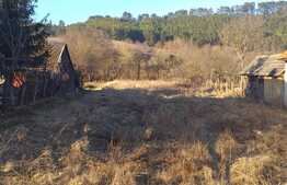 Teren intravilan Savadisla, 1400 mp, front 22 ml