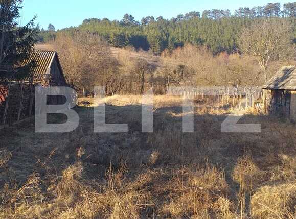 Teren de vânzare Exterior Vest - 61209TV | BLITZ Cluj-Napoca | Poza3