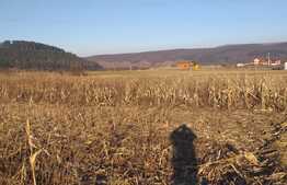 Teren extravilan Savadisla, 1400 mp, front 30 ml