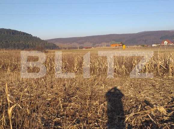 Teren de vânzare Exterior Vest - 61210TV | BLITZ Cluj-Napoca | Poza1