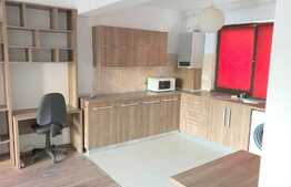 2 camere, 52 mp, parcare, terasa 27 mp, zona Constantin Brancusi