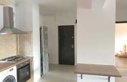 2 camere, 52 mp, parcare, terasa 27 mp, zona Constantin Brancusi