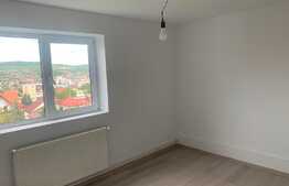 Garsoniera pe care o poti aranja dupa bunul plac! Zona stadion CFR.