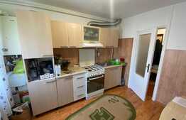 Apartament 2 camere, Zona Astra 