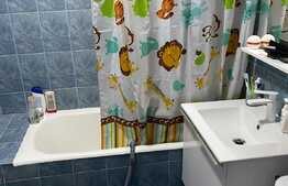 Apartament 2 camere, Zona Astra 