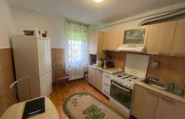 Apartament 2 camere, Zona Astra 