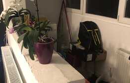 Cauti un apartament cu 3 camere decomandate, intr-o zona linistita in Grigorescu ?