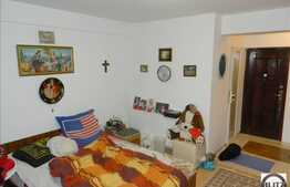 Apartament 1 camera, 35 mp utili, finisaje moderne, expunere sudica!