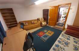 Apartament cu o camera, 32 mp, zona Parcului Central