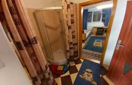 Apartament cu o camera, 32 mp, zona Parcului Central