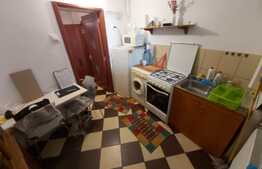 Apartament cu o camera, 32 mp, zona Parcului Central