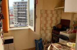 Garsoniera, 22 mp, Alexandru cel Bun