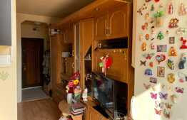 Garsoniera, 22 mp, Alexandru cel Bun