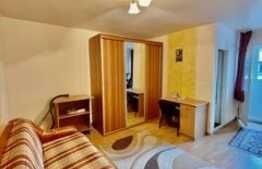 Apartament 1 camera, etaj intermediar, zona Calea Floresti