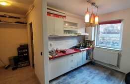 Apartament 2 camere, 44 mp, zona strazii Florilor