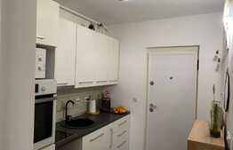 Garsoniera, 28 mp, Tractoru