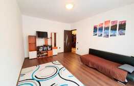 Oportunitate! Apartament 1 camera, etaj intermediar, la cheie. Zona strazii Porii!