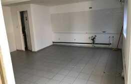 Spatiu de inchiriat, 40 mp, zona strazii Bistritei 