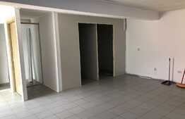 Spatiu de inchiriat, 40 mp, zona strazii Bistritei 