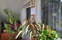 De vanzare casa individuala, 200 mp utili, 500 mp teren, zona linistita