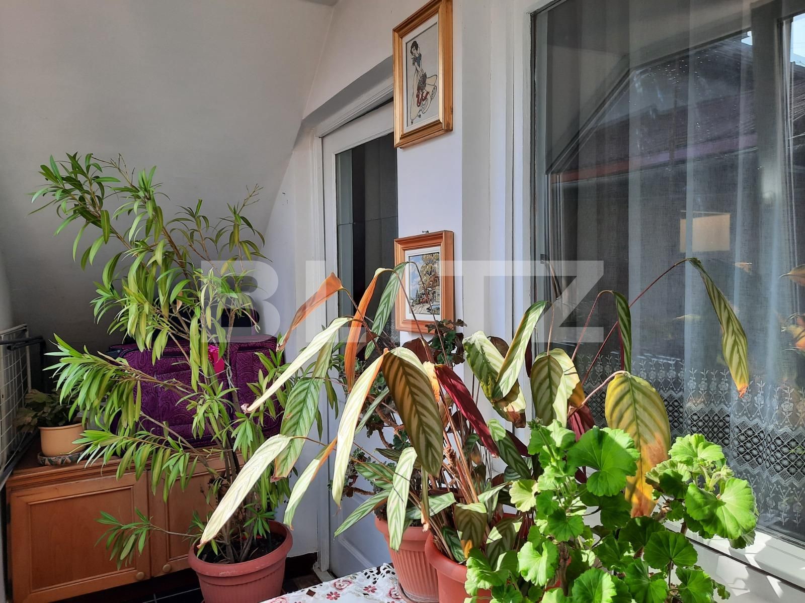 Casa de vânzare 5 camere Dambul Rotund - 61367CV | BLITZ Cluj-Napoca | Poza10