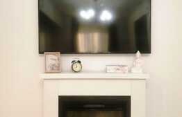 Apartament cu 2 camere, pet friendly si parcare, zona Donath Park