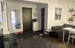 Apartament 3 camere, mobilat si utilat, suprafata generoasa, zona Porii!