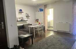 Apartament 3 camere, mobilat si utilat, suprafata generoasa, zona Porii!