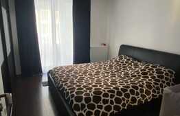 Apartament 3 camere, mobilat si utilat, suprafata generoasa, zona Porii!