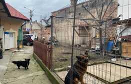 Casa veche 4 camere, 90mp utili, 258 mp teren