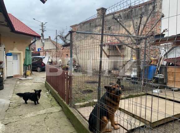 Casa de vânzare 4 camere Semicentral - 61419CV | BLITZ Cluj-Napoca | Poza2