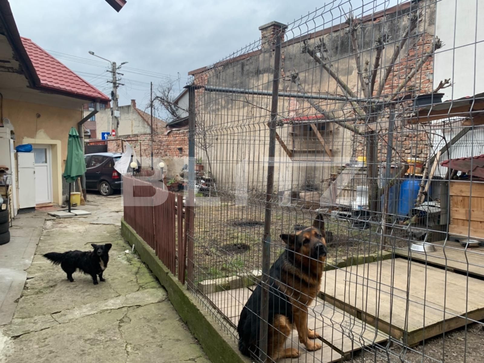 Casa de vânzare 4 camere Semicentral - 61419CV | BLITZ Cluj-Napoca | Poza2