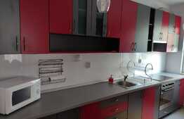 Apartament cu 2 camere, 64 mp, modern, din cartierul Buna Ziua 