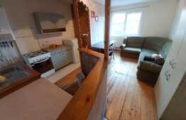 Apartament cu 1 camera , 55mp, pet friendly si parcare, zona Garii