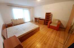 Apartament cu 1 camera , 55mp, pet friendly si parcare, zona Garii