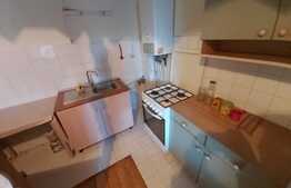 Apartament cu 1 camera , 55mp, pet friendly si parcare, zona Garii