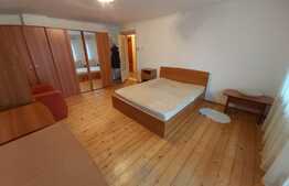 Apartament cu 1 camera , 55mp, pet friendly si parcare, zona Garii