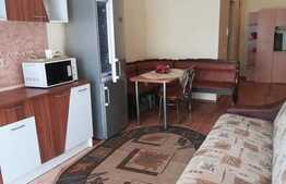 2 camere, 41 mp., zona Stejarului