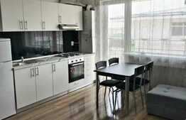 Oportunitate de investitie, preluare de chiriasi, zona Terra