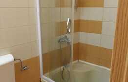 Apartament 1 camera, 35 mp, zona strazii Paris 